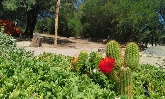 Tinajas De San Carlos Inn 3*