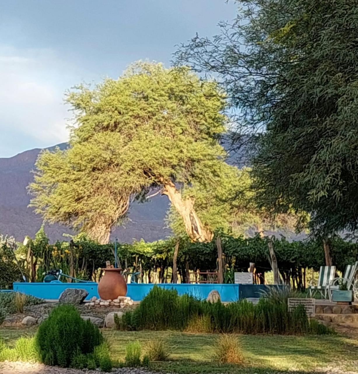 Inn Tinajas De San Carlos 3*